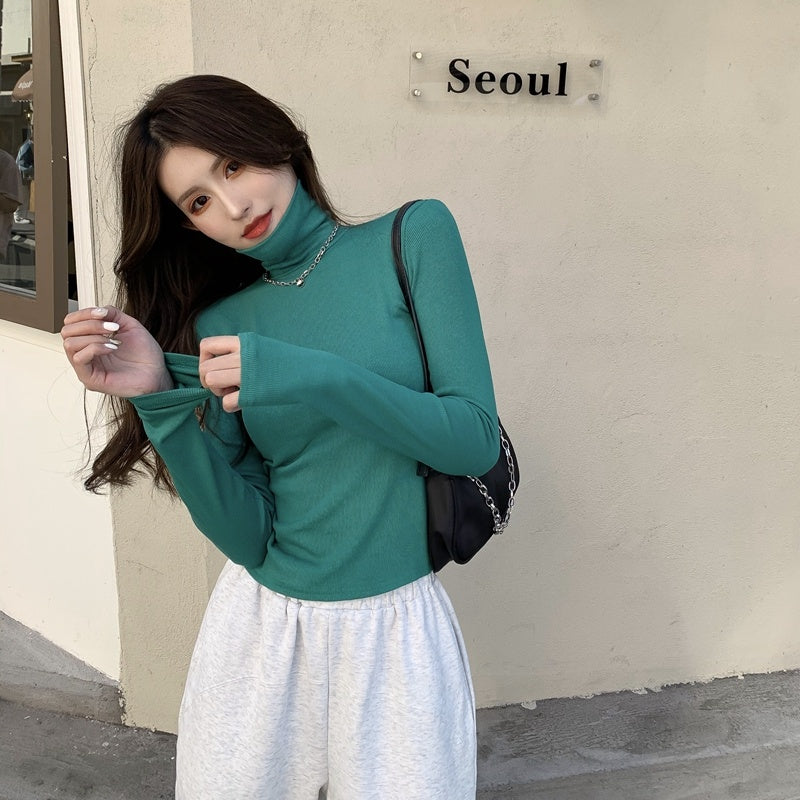Women's Thick Brushed Warmth Slim High Neck Bottoming Shirt
