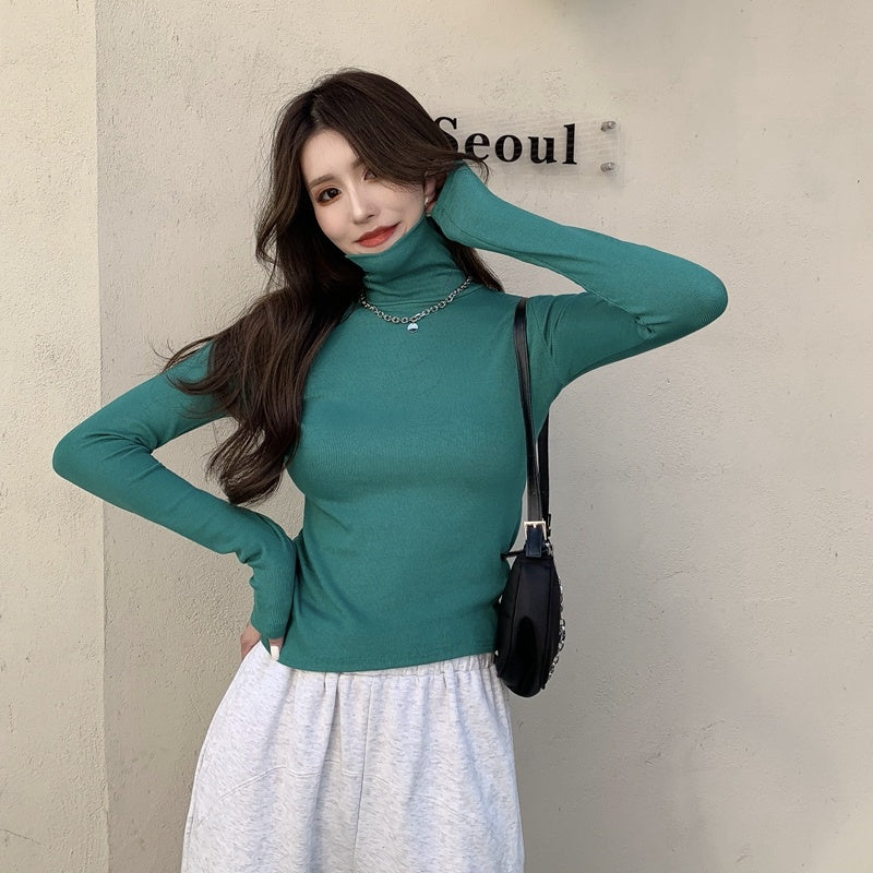 Women's Thick Brushed Warmth Slim High Neck Bottoming Shirt